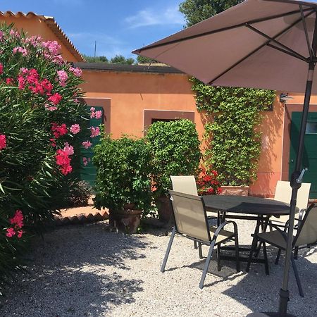 Poggio Montali Villa Monte Roberto Bagian luar foto