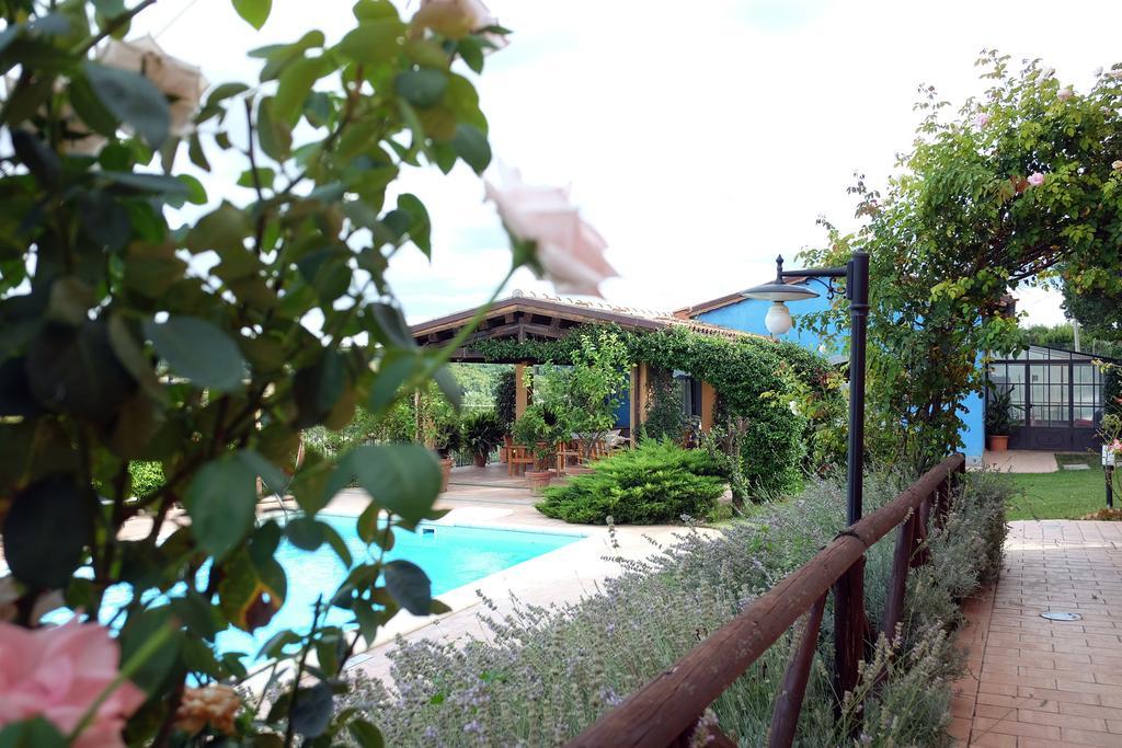 Poggio Montali Villa Monte Roberto Bagian luar foto